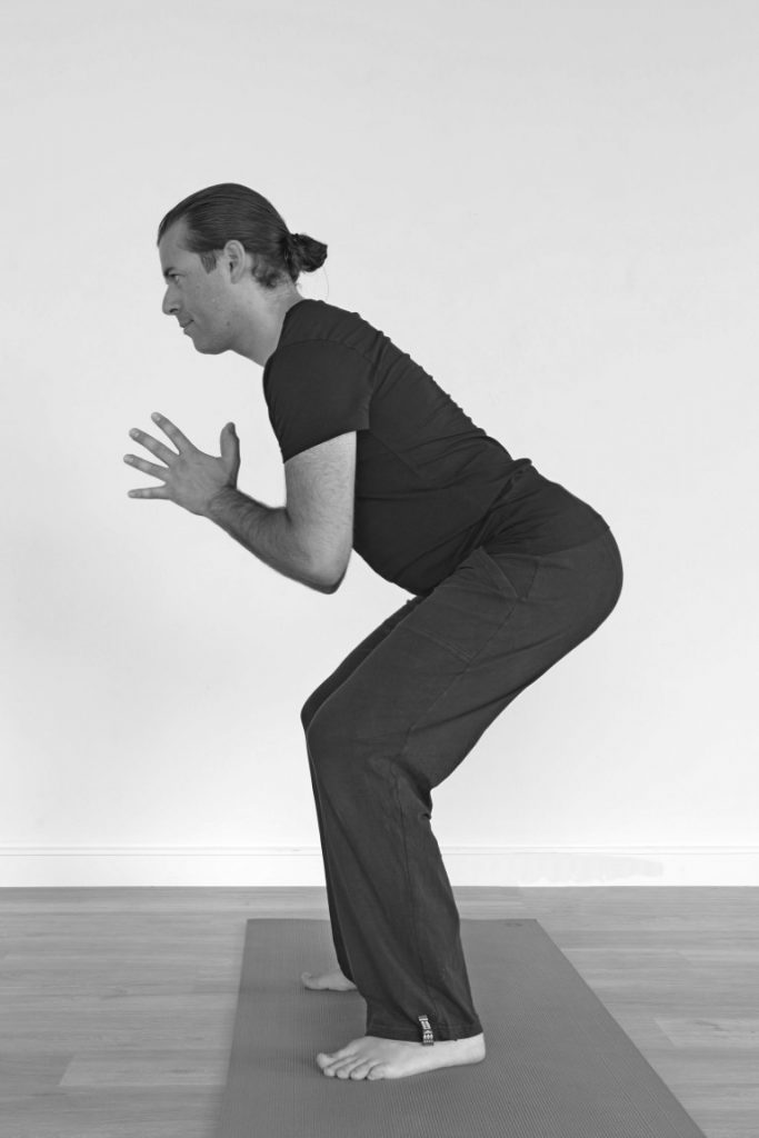 Bert Peeters van Bhalu Yoga - hatha yoga - yoga opleiding